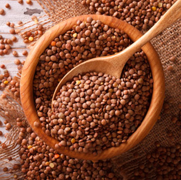 Our pulses